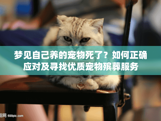 梦见自己养的宠物死了？如何正确应对及寻找优质宠物殡葬服务
