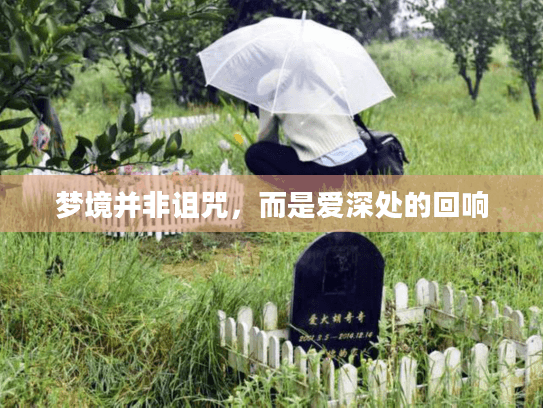 梦境并非诅咒，而是爱深处的回响