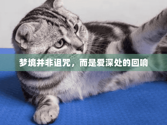 梦境并非诅咒，而是爱深处的回响