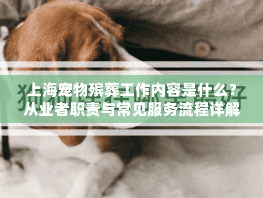 上海宠物殡葬工作内容是什么？从业者职责与常见服务流程详解