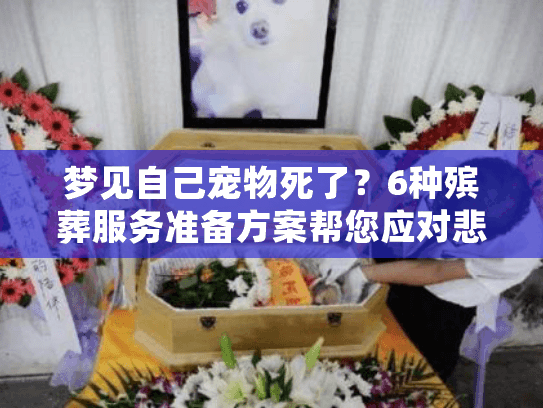 梦见自己宠物死了？6种殡葬服务准备方案帮您应对悲痛时刻