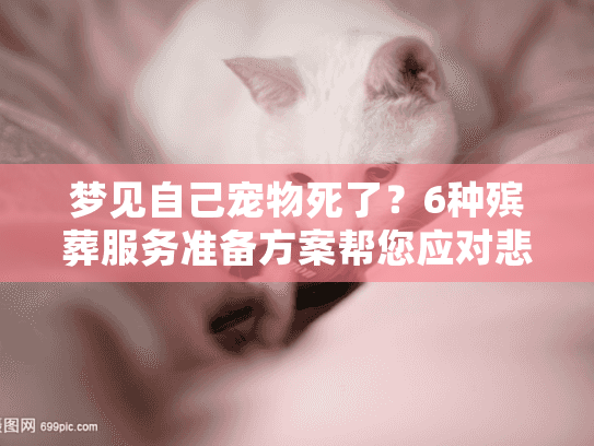 梦见自己宠物死了？6种殡葬服务准备方案帮您应对悲痛时刻