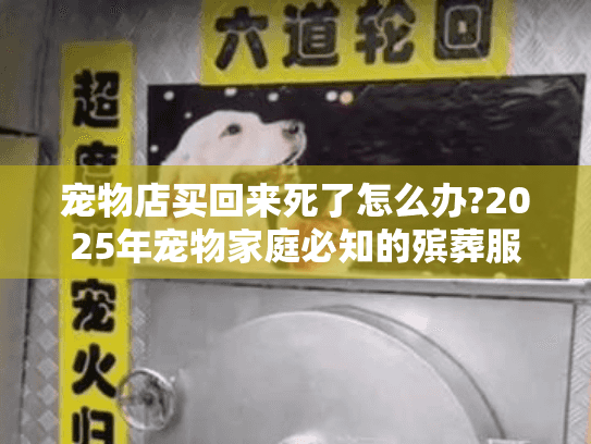 宠物店买回来死了怎么办?2025年宠物家庭必知的殡葬服务指南