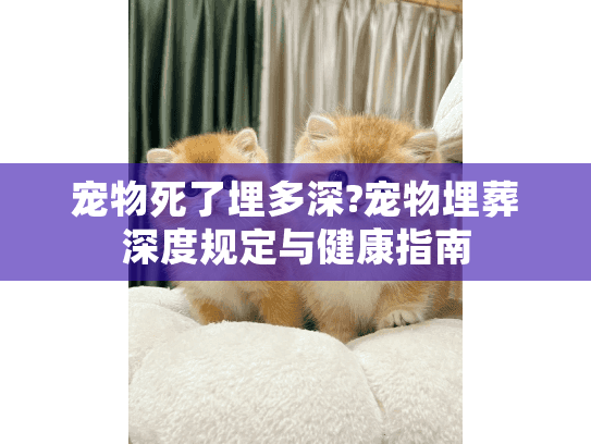 宠物死了埋多深?宠物埋葬深度规定与健康指南