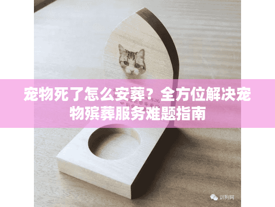宠物死了怎么安葬？全方位解决宠物殡葬服务难题指南