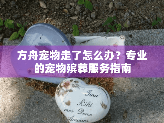 方舟宠物走了怎么办？专业的宠物殡葬服务指南