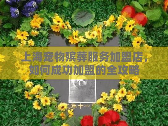 上海宠物殡葬服务加盟店，如何成功加盟的全攻略