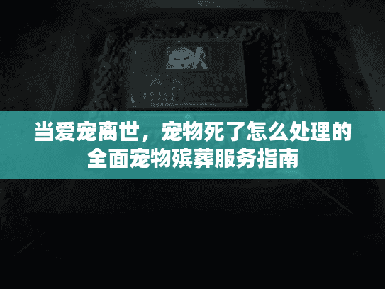 当爱宠离世，宠物死了怎么处理的全面宠物殡葬服务指南