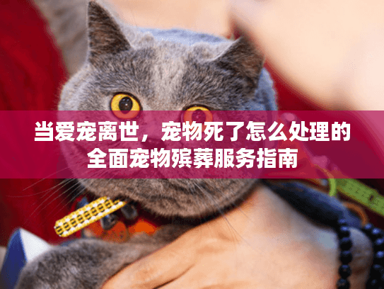 当爱宠离世，宠物死了怎么处理的全面宠物殡葬服务指南