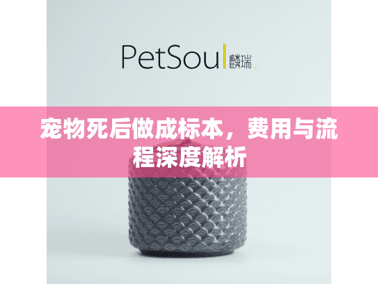 宠物死后做成标本，费用与流程深度解析