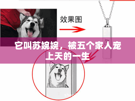 它叫苏婉婉，被五个家人宠上天的一生