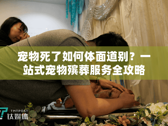 宠物死了如何体面道别？一站式宠物殡葬服务全攻略