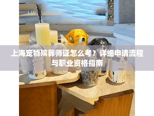 上海宠物殡葬师证怎么考？详细申请流程与职业资格指南