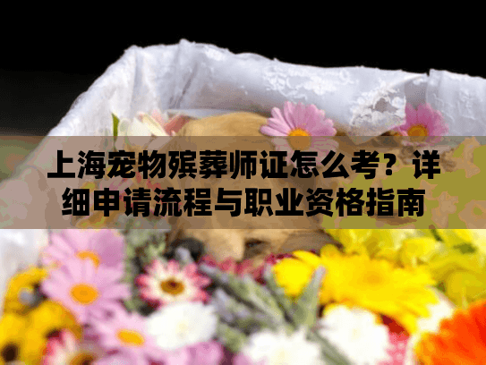 上海宠物殡葬师证怎么考？详细申请流程与职业资格指南