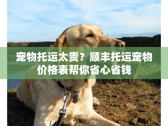 宠物托运太贵？顺丰托运宠物价格表帮你省心省钱