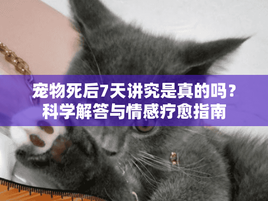 宠物死后7天讲究是真的吗？科学解答与情感疗愈指南