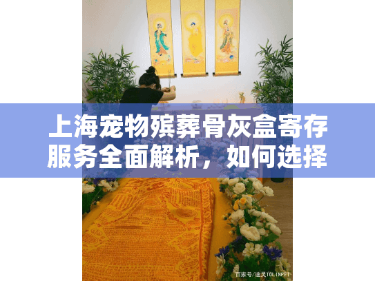 上海宠物殡葬骨灰盒寄存服务全面解析，如何选择安心永恒的纪念方案？