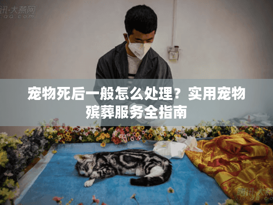 宠物死后一般怎么处理？实用宠物殡葬服务全指南