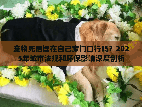 宠物死后埋在自己家门口行吗？2025年城市法规和环保影响深度剖析