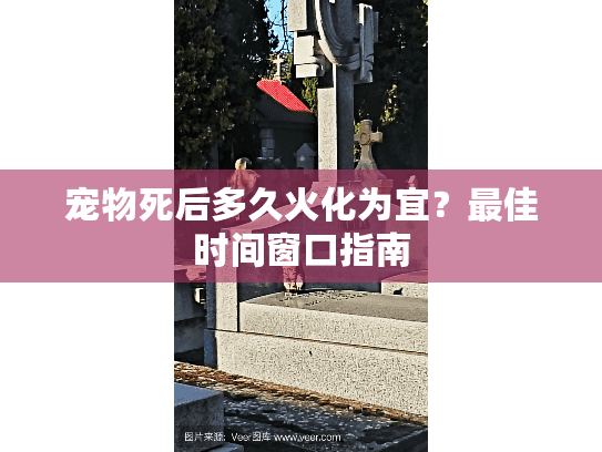 宠物死后多久火化为宜？最佳时间窗口指南