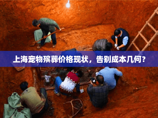 上海宠物殡葬价格现状，告别成本几何？