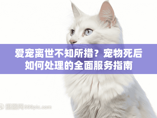 爱宠离世不知所措？宠物死后如何处理的全面服务指南