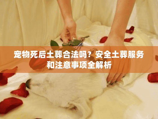 宠物死后土葬合法吗？安全土葬服务和注意事项全解析