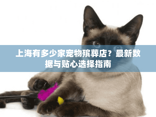 上海有多少家宠物殡葬店？最新数据与贴心选择指南