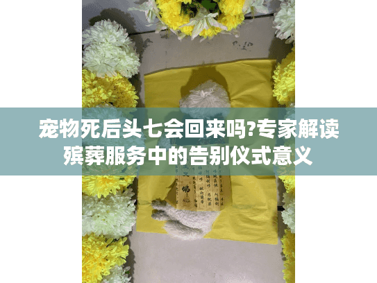 宠物死后头七会回来吗?专家解读殡葬服务中的告别仪式意义