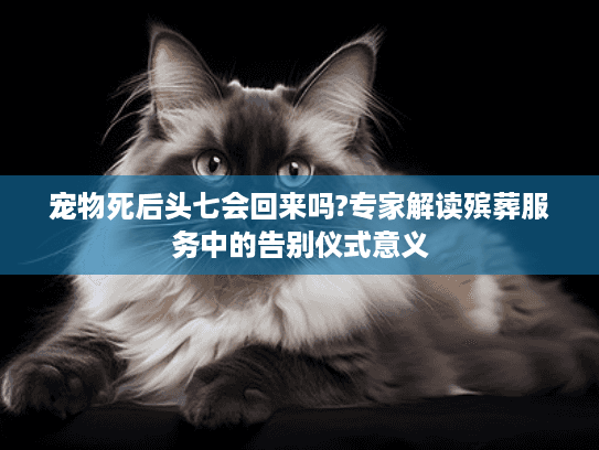 宠物死后头七会回来吗?专家解读殡葬服务中的告别仪式意义