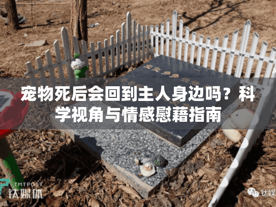 宠物死后会回到主人身边吗？科学视角与情感慰藉指南
