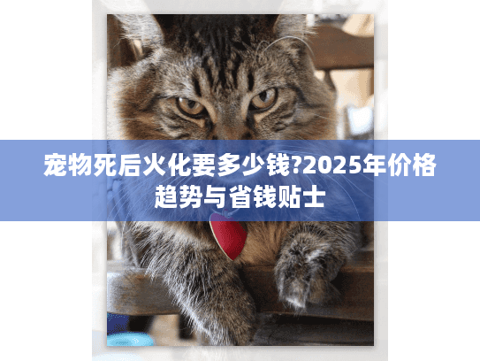 宠物死后火化要多少钱?2025年价格趋势与省钱贴士