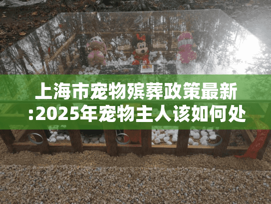 上海市宠物殡葬政策最新:2025年宠物主人该如何处理爱宠后事？