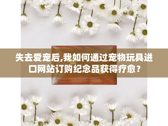 失去爱宠后,我如何通过宠物玩具进口网站订购纪念品获得疗愈？