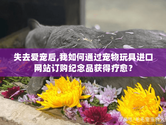 失去爱宠后,我如何通过宠物玩具进口网站订购纪念品获得疗愈？