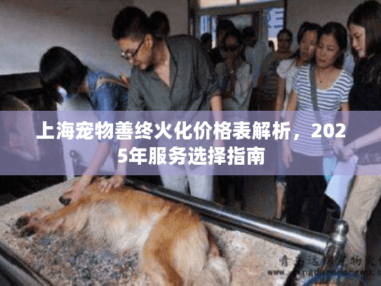 上海宠物善终火化价格表解析，2025年服务选择指南