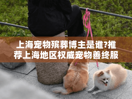 上海宠物殡葬博主是谁?推荐上海地区权威宠物善终服务博主指南
