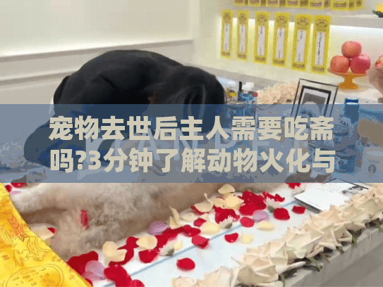 宠物去世后主人需要吃斋吗?3分钟了解动物火化与祭祀真相