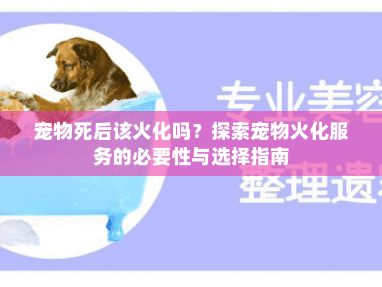 宠物死后该火化吗？探索宠物火化服务的必要性与选择指南