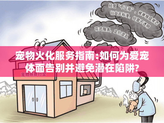 宠物火化服务指南:如何为爱宠体面告别并避免潜在陷阱?