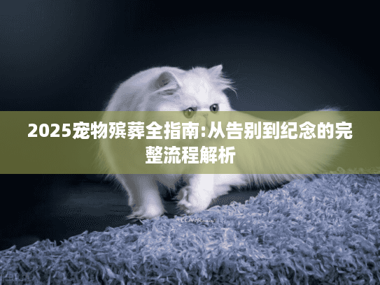 2025宠物殡葬全指南:从告别到纪念的完整流程解析