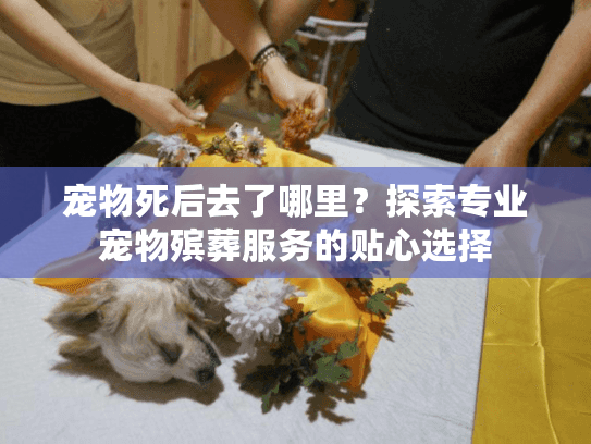 宠物死后去了哪里？探索专业宠物殡葬服务的贴心选择