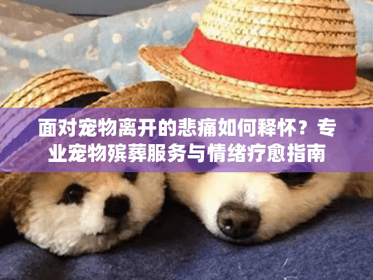 面对宠物离开的悲痛如何释怀?专业宠物殡葬服务与情绪疗愈指南 面对宠物离开的悲痛如何释怀?专业宠物殡葬服务与情绪疗愈指南