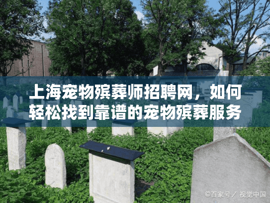 上海宠物殡葬师招聘网，如何轻松找到靠谱的宠物殡葬服务招聘？
