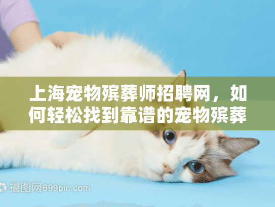 上海宠物殡葬师招聘网，如何轻松找到靠谱的宠物殡葬服务招聘？