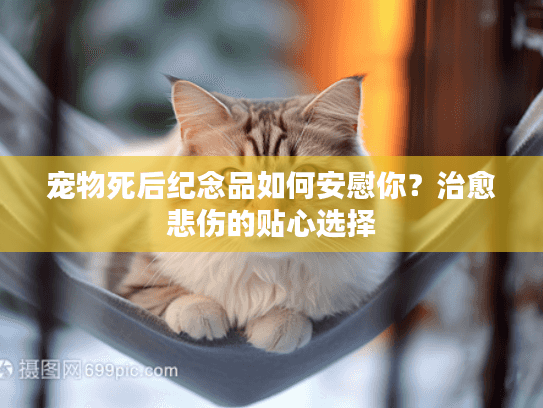 宠物死后纪念品如何安慰你？治愈悲伤的贴心选择