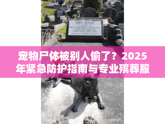 宠物尸体被别人偷了？2025年紧急防护指南与专业殡葬服务推荐