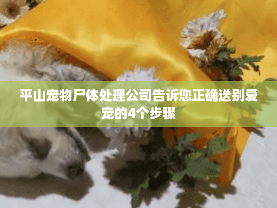 平山宠物尸体处理公司告诉您正确送别爱宠的4个步骤