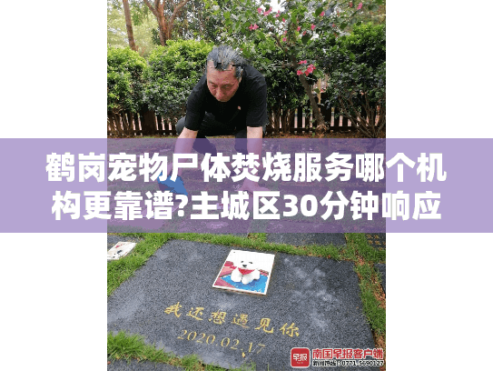鹤岗宠物尸体焚烧服务哪个机构更靠谱?主城区30分钟响应亲测
