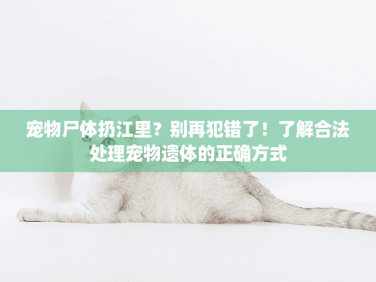 宠物尸体扔江里？别再犯错了！了解合法处理宠物遗体的正确方式
